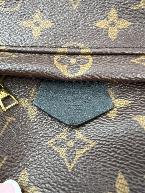 Louis Vuitton Palm Springs Mini Monogram Backpack Bag main image 7